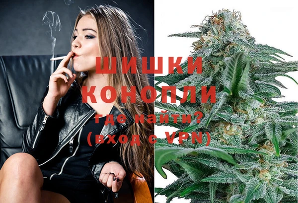 прущий лед Дмитриев