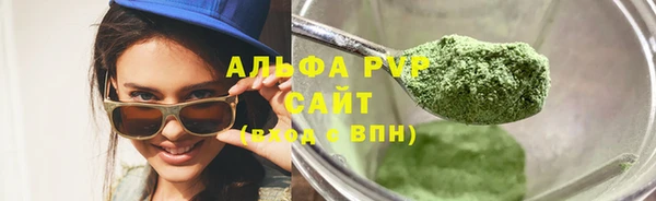 стафф Дмитров