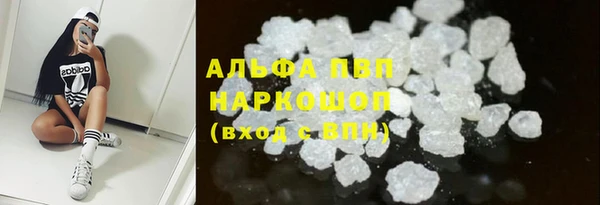 стафф Дмитров