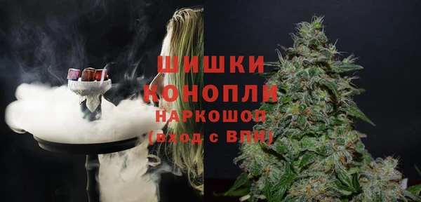 прущий лед Дмитриев