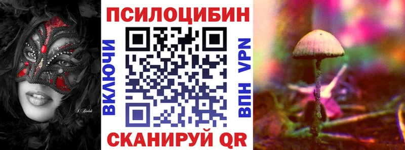 Купить закладки Буйнакск Псилоцибиновые грибы мицелий