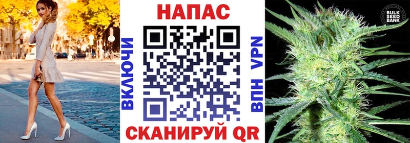Купить  Буйнакск  Канабис планчик 